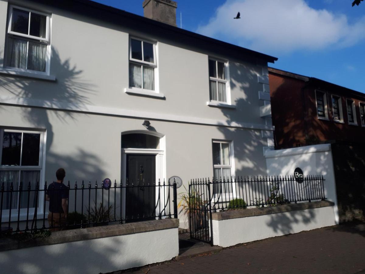 Bed and Breakfast Halpins Town House Wicklow Exterior foto